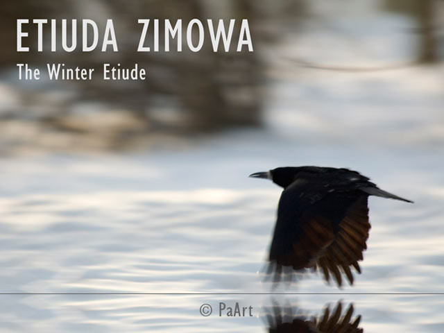Etiuda zimowa / The Winter Etude